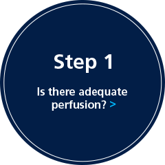 Step 1: Is there adequate perfusion?