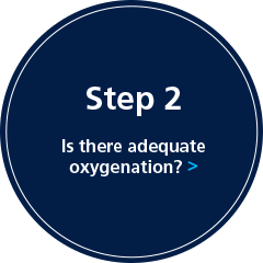Step 2: Is there adequate oxygenation?